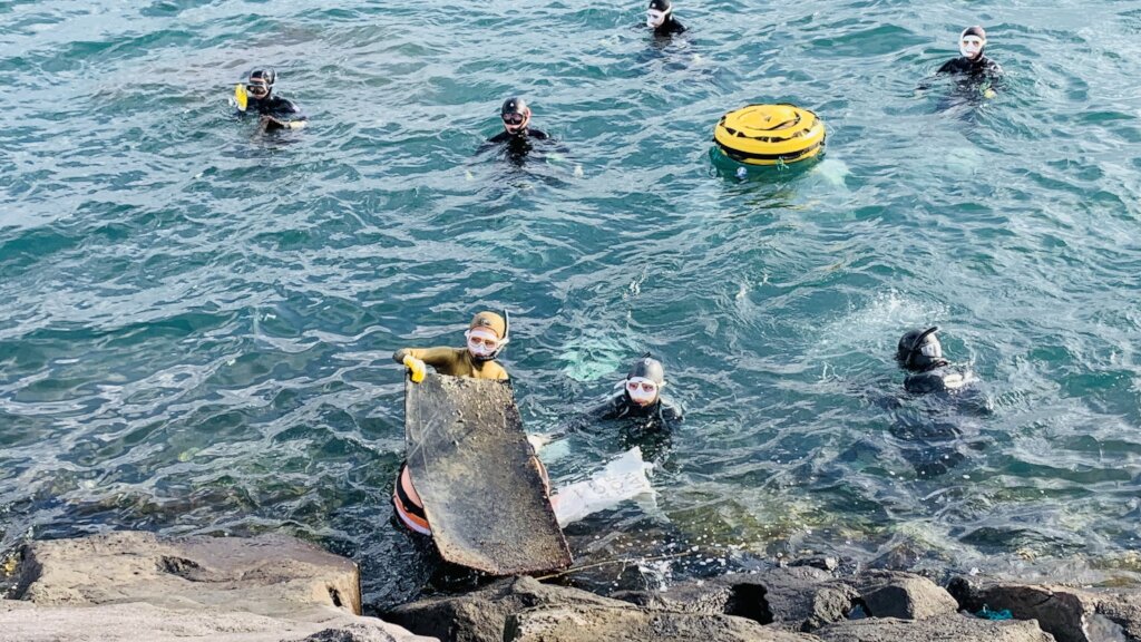 Keep Jeju's Ocean Alive: Protect Its Defenders