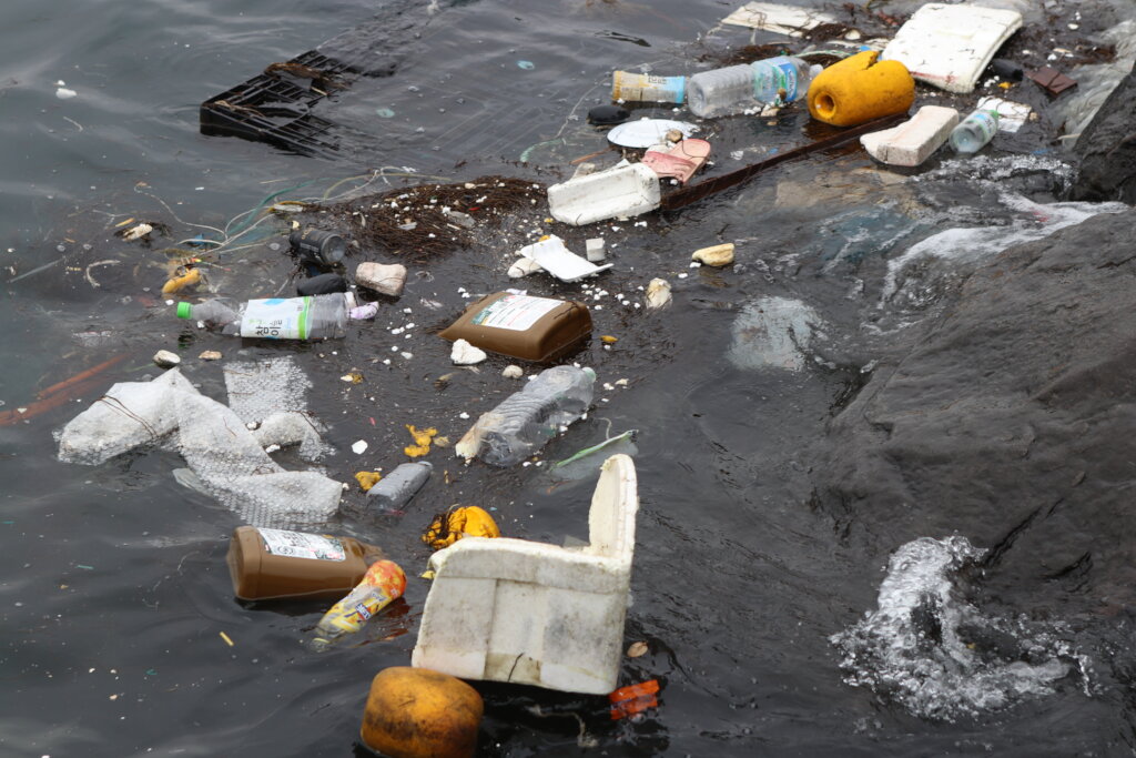 Keep Jeju's Ocean Alive: Protect Its Defenders