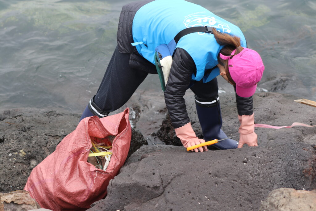 Keep Jeju's Ocean Alive: Protect Its Defenders