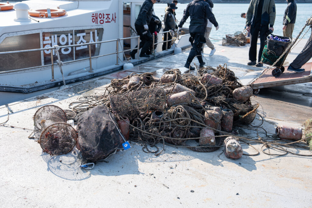 Keep Jeju's Ocean Alive: Protect Its Defenders