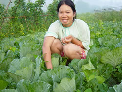 Community Center & Family Gardens in Thailand-UNC