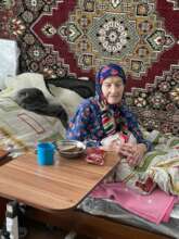 Safe Tableware for Elderly in Ukraine
