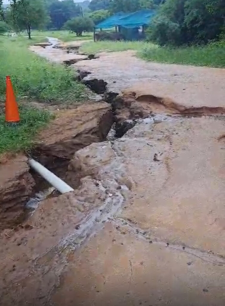 Elephants Alive Flood Relief