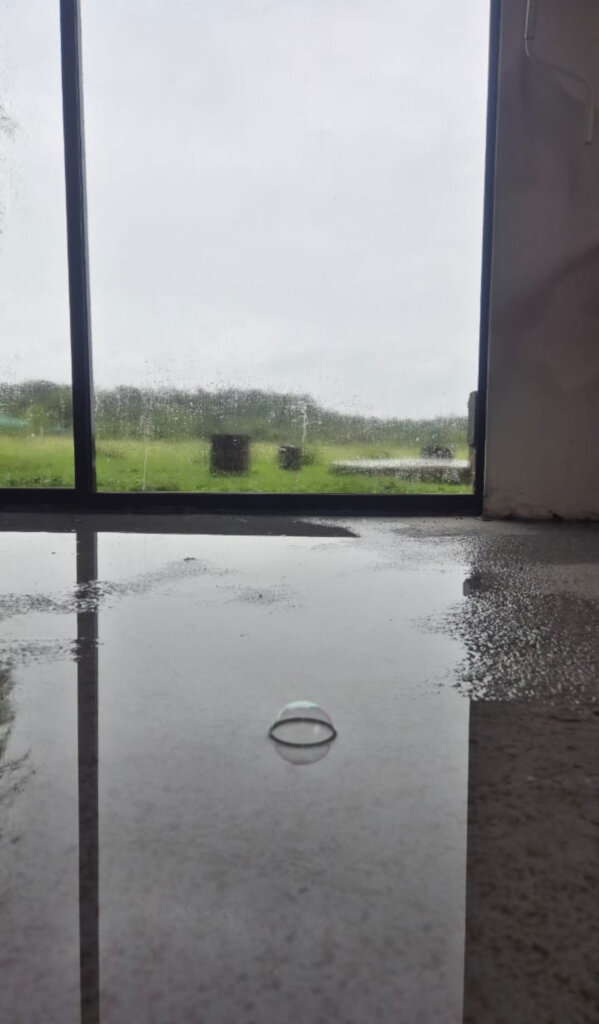 Elephants Alive Flood Relief