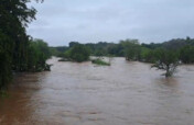Elephants Alive Flood Relief