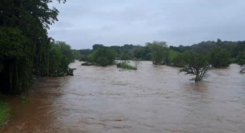 Elephants Alive Flood Relief