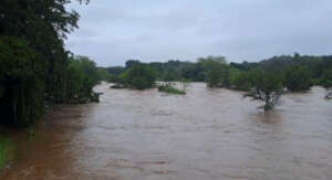 Elephants Alive Flood Relief