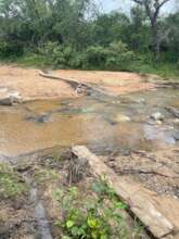 Current state of our bridge