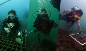 Protecting the Coral Sea
