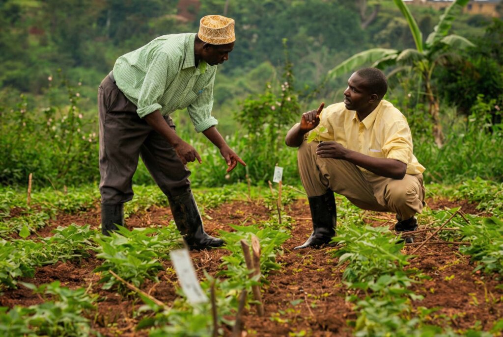Agricultural Support for 150 Farmers in Niger