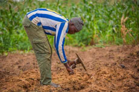 Agricultural Support for 150 Farmers in Niger