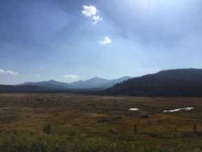 The Cape Horn allotment in the Salmon Challis NF