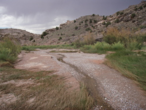 Ackland Spring in Capitol Reef