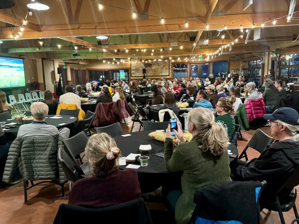 Colorado Springs Wolf Event