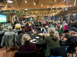 Colorado Springs Wolf Event