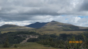 South San Juans Domestic Sheep Allotment