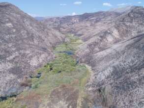 Emerald refuge of beaver ponds after Sharps Fire i