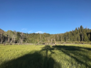 NWF's most recent agreement in central Idaho