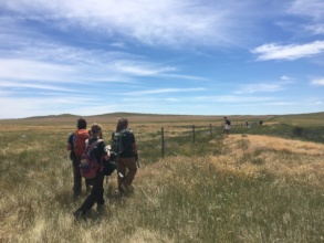 Working with MT Conservation Corps flagging fences