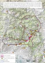 Grizzly Conflicts on the West Fork