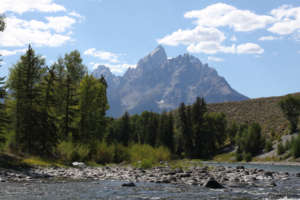 NWF also works in Wyoming's Teton Mountains- Wells