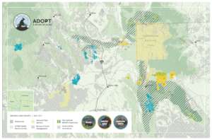NWF Works to Reduce Livestock/ Wildlife Conflicts