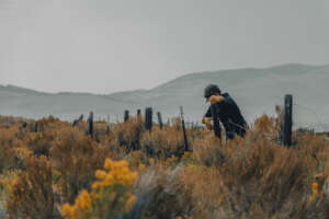 Removing a woven wire fence.