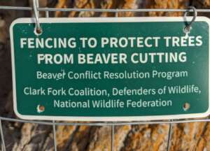 Photo credit Clark Fork Coalition