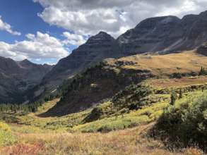Upper Crystal River Allotment Alpine Meadows