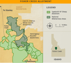 Fisher Creek Retirement, Whitecloud Mountains, ID
