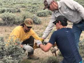 The author modifying fencing with volunteers