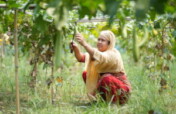 Zakat for Migrant Women's Economic Empowerment