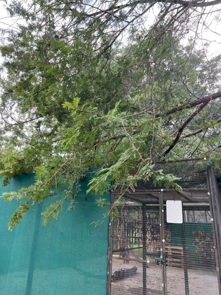 Urgent Repairs for Flood-Damaged Wildlife Centres