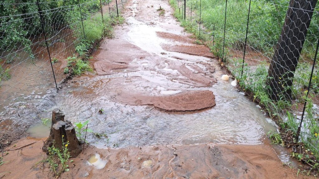 Urgent Repairs for Flood-Damaged Wildlife Centres