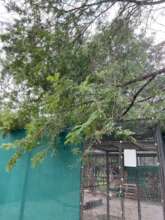 Tree fallen on flight enclosure