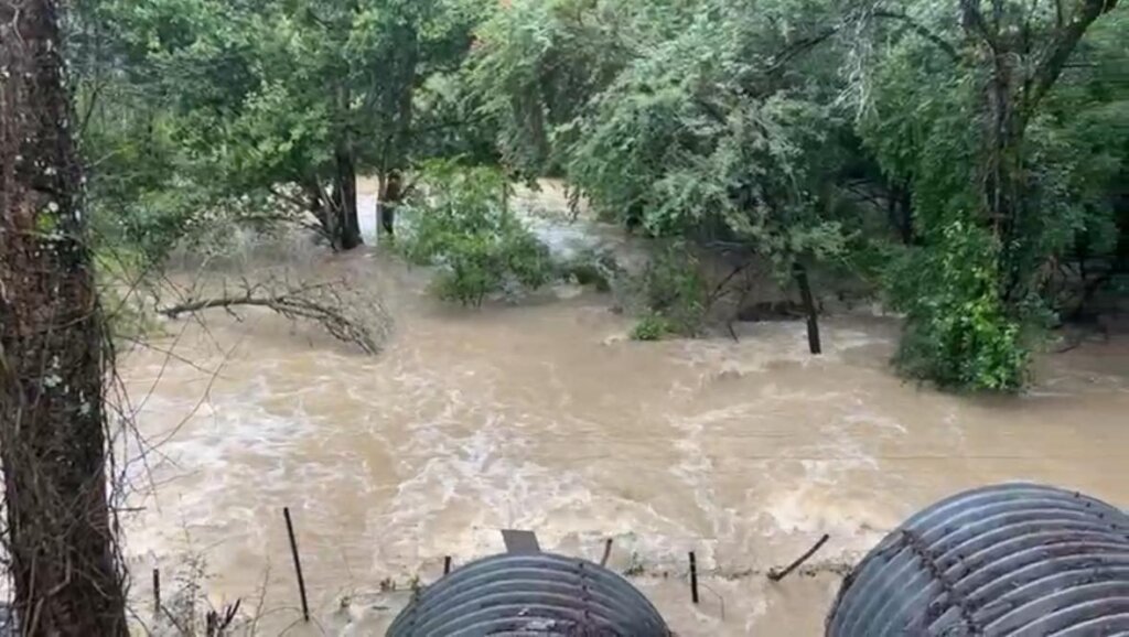 Urgent Repairs for Flood-Damaged Wildlife Centres