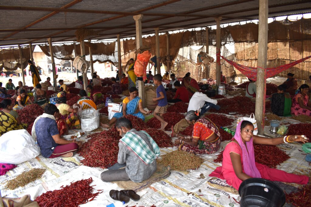 Build Safe Toilets for 100 Migrant Children