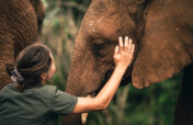 Shamwari Wildlife Rehabilitation