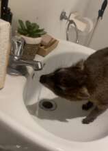Eric staying hydrated