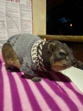 Eric in his sweater a chilly evening