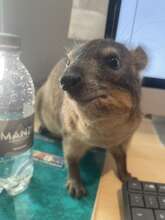 Eric tries to be helpful in the office :)