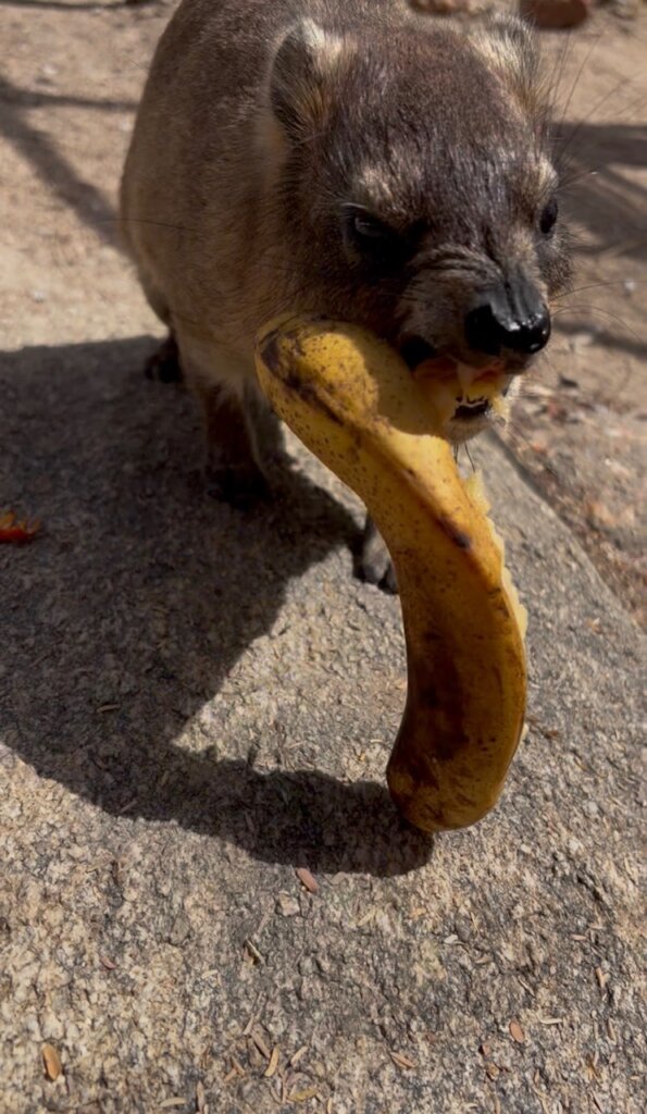 Eric loves banana ...