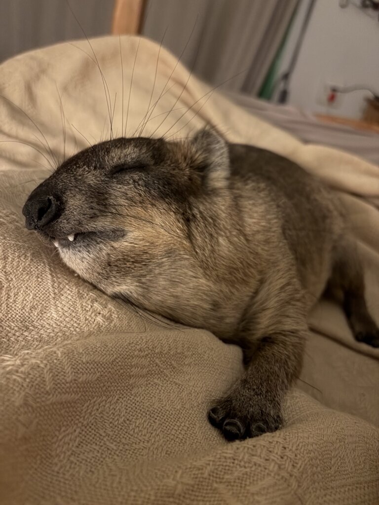 Sleepy Eric!