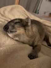 Sleepy Eric!