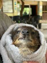 Eric's growing teeth!