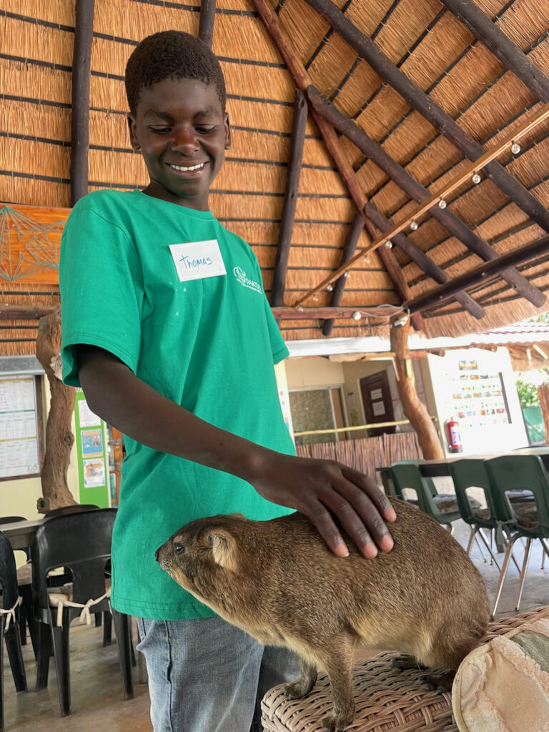 Giving Hyraxes Love, Care and Protection