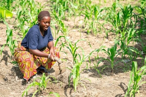 AgriHope Initiative for Resilience and livelihood