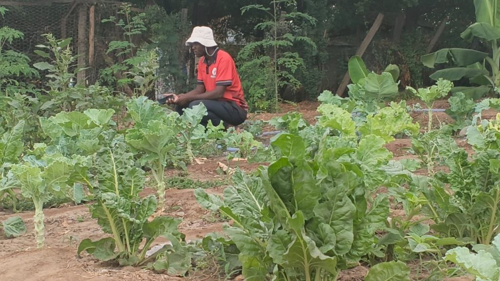 AgriHope Initiative for Resilience and livelihood