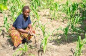 AgriHope Initiative for Resilience and livelihood