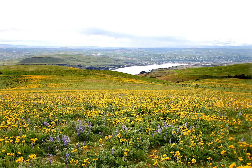 Preserve the Wonders of the Columbia Gorge